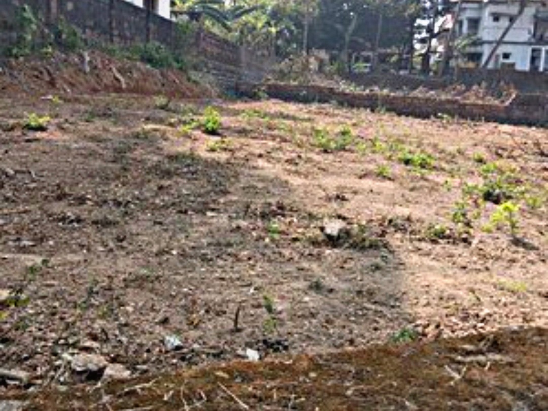 Land Acquisition & Development